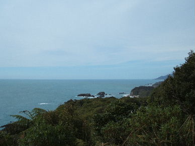 Not the Knights who say Ni