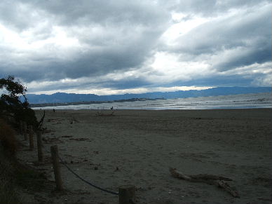Nice public toilets here, respledent with a pair of red-billed gulls