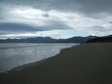 No rabbits to be seen