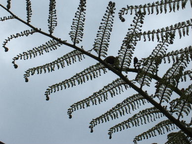 You want the Truth!?! You can't handle the Truth!