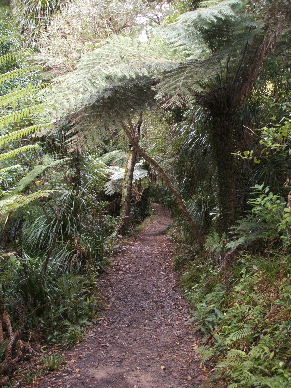 Well, I think you're crazeeee