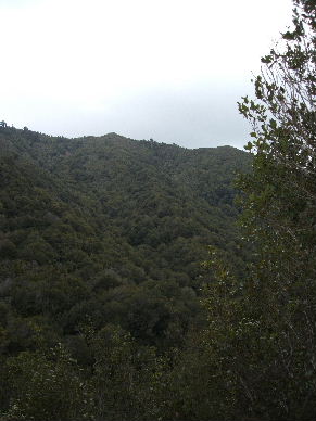 No, not Eric Catchpole from Lovejoy. Sigh.