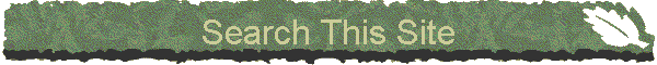 Search This Site