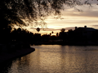 our old yard at the apartments