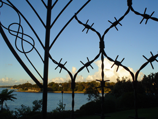 sunset at the park...