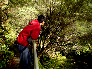 tong leng (ttl), rare moment in contemplation ;P