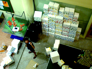 Chenmei putting finishing touches to the landscapes.