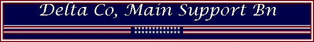 Delta Co, Main Support Bn