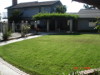  Backyard grass