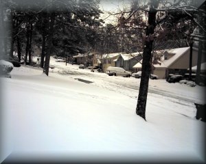 Snow on Tuesday, February 25, 2003