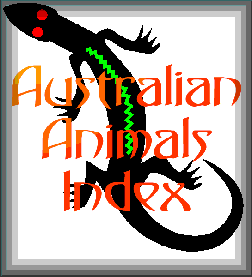 Australian Animal Index Logo