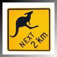 Kangaroos Ahead Sign
