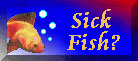 The Sick Fish Web Page. Colour diagrams for disease diagnosis and treatment.