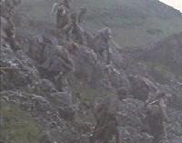 A scene from the film - Braveheart