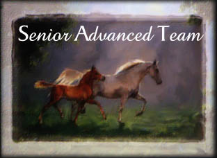 Thank you for visiting the Senior Advanced Team!