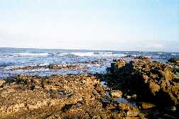 Beach in front of House 
