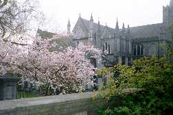 St Patrick's Cathedral