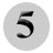 Icon number five.