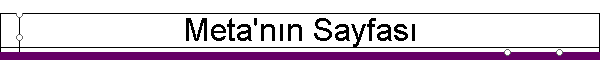 Meta'nın Sayfası