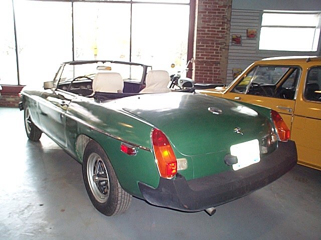 Rubber Bumper Rear Photo