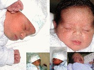 pict168.jpg [193x144]