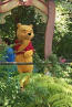 Pooh