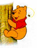 Pooh Bear