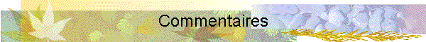 Commentaires