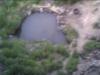 the water hole