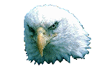 eagle's head graphic