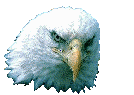 eagle head graphics