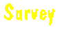 Survey
