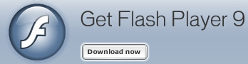 flash download