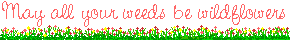 weeds.gif