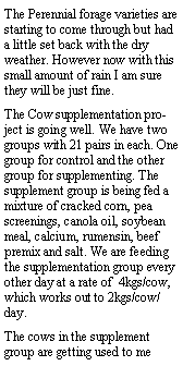 Text Box: The Perennial forage varieties are starting to come through but had a little set back with the dry weather. However now with this small amount of rain I am sure they will be just fine.  The Cow supplementation project is going well. We have two groups with 21 pairs in each. One group for control and the other group for supplementing. The supplement group is being fed a mixture of cracked corn, pea screenings, canola oil, soybean meal, calcium, rumensin, beef premix and salt. We are feeding the supplementation group every other day at a rate of  4kgs/cow, which works out to 2kgs/cow/day. The cows in the supplement group are getting used to me 