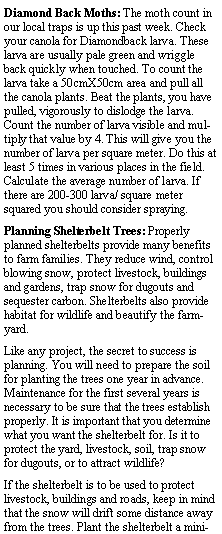 Text Box: Diamond Back Moths: The moth count in our local traps is up this past week. Check your canola for Diamondback larva. These larva are usually pale green and wriggle back quickly when touched. To count the larva take a 50cmX50cm area and pull all the canola plants. Beat the plants, you have pulled, vigorously to dislodge the larva. Count the number of larva visible and multiply that value by 4. This will give you the number of larva per square meter. Do this at least 5 times in various places in the field. Calculate the average number of larva. If there are 200-300 larva/ square meter squared you should consider spraying.Planning Shelterbelt Trees: Properly planned shelterbelts provide many benefits to farm families. They reduce wind, control blowing snow, protect livestock, buildings and gardens, trap snow for dugouts and sequester carbon. Shelterbelts also provide habitat for wildlife and beautify the farmyard.Like any project, the secret to success is planning. You will need to prepare the soil for planting the trees one year in advance. Maintenance for the first several years is necessary to be sure that the trees establish properly. It is important that you determine what you want the shelterbelt for. Is it to protect the yard, livestock, soil, trap snow for dugouts, or to attract wildlife?If the shelterbelt is to be used to protect livestock, buildings and roads, keep in mind that the snow will drift some distance away from the trees. Plant the shelterbelt a mini