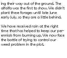Text Box: ing their way out of the ground. The alfalfa was the first to show. We didnt plant these forages until late June early July, so they are a little behind. We have received rain at the right time that has helped to keep our perennials from burning up. We now face the battle of trying to control our weed problem in the plot.