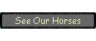 See Our Horses