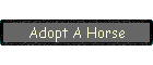 Adopt A Horse