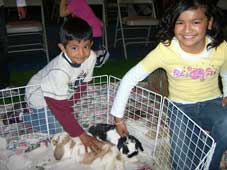 Img: rabbit petting zoo event 