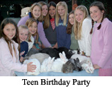 Img: teenage bunny rabbit birthday party