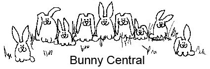 Bunny Central/ Rabbit Logo
