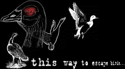 run while you can...