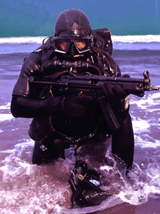 Welcome to the JeDz Scuba Page