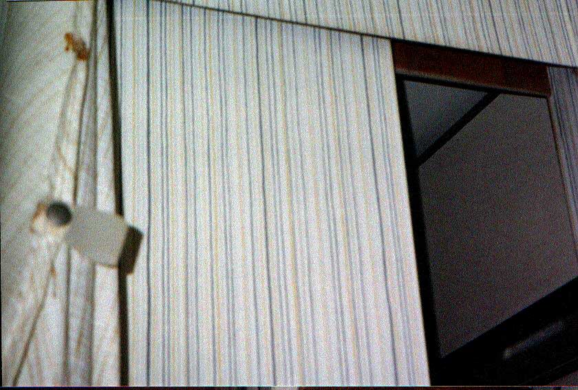 Formica & shower curtain