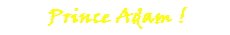 Prince Adam!