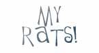 My Rats!