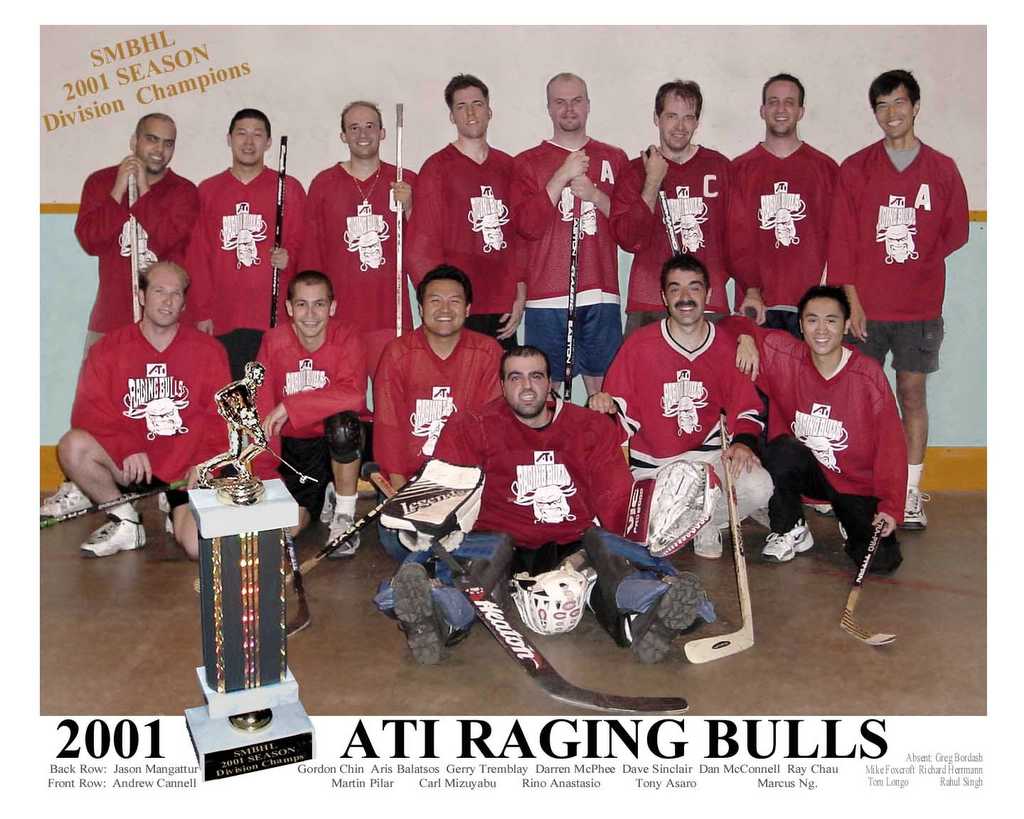 2001 Bulls