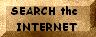 Search the internet from this site