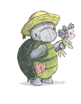Flora Turtle